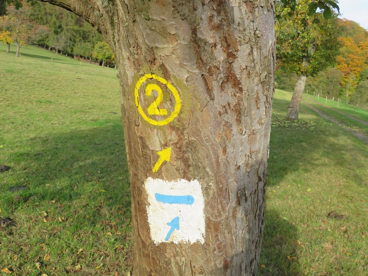 Wanderwegmarkierungen an einem Baum