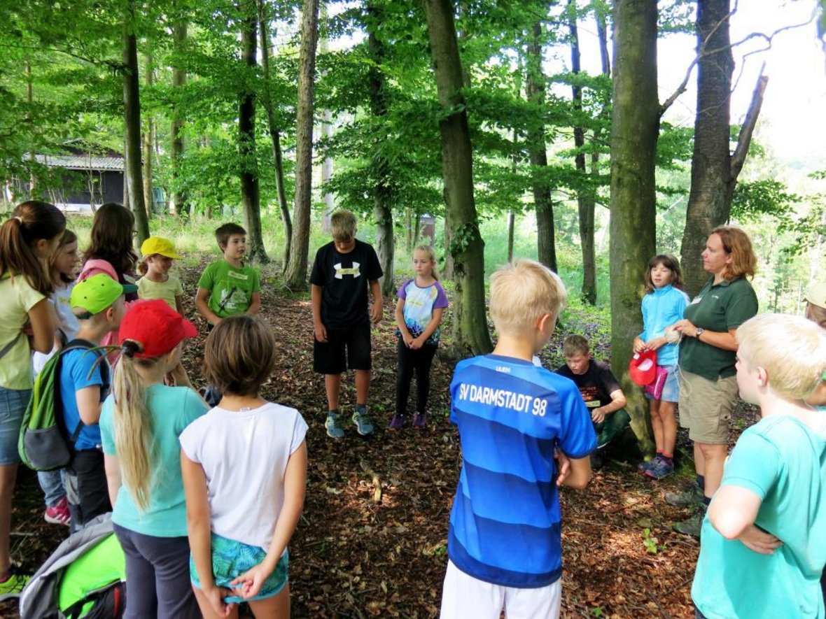 Gruppenbild beim OWK Rimbach