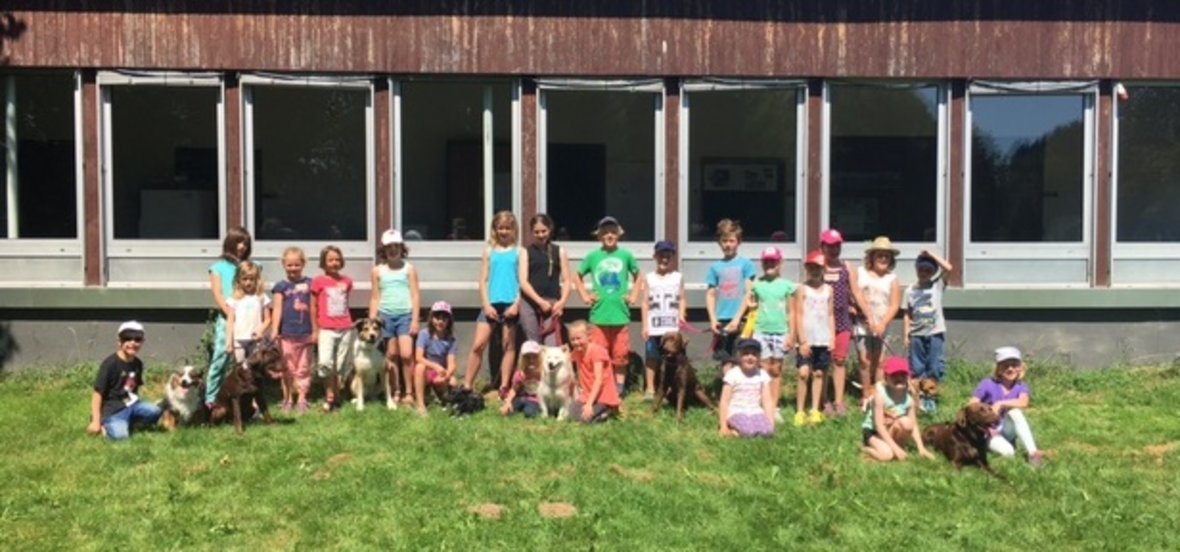 Spiel und Spaß mit Hunden beim Verein der Hundefreunde